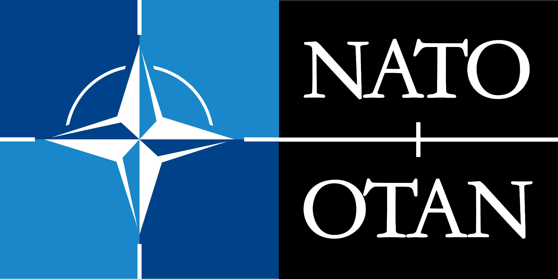 NATO OTAN emblem – NCAGE U29D2